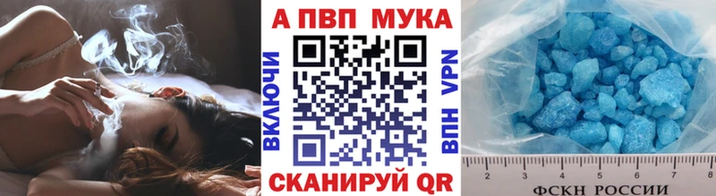 A PVP СК  Кологрив 